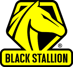 Black Stallion